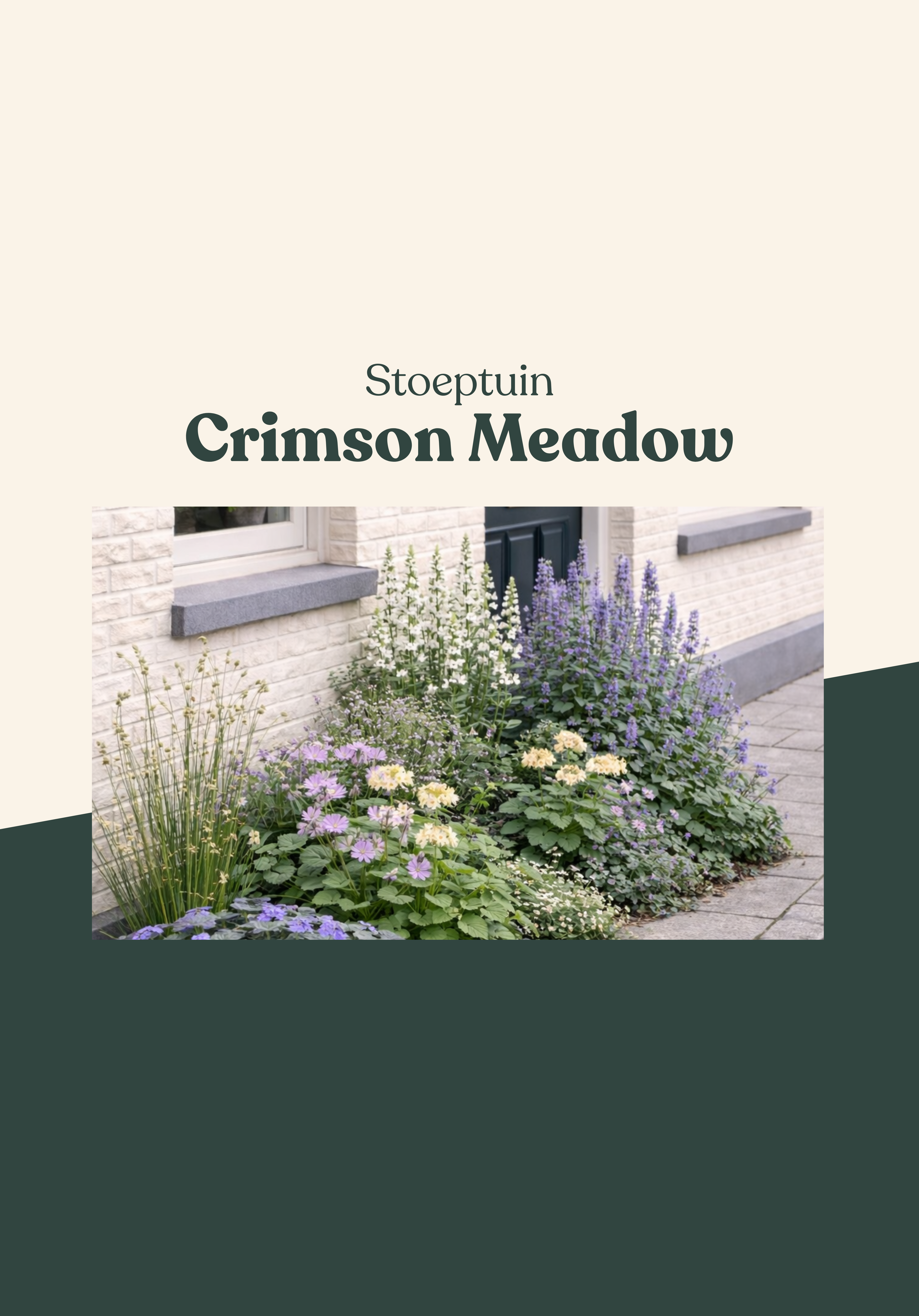Stoeptuin: Crimson Meadow-Angelo