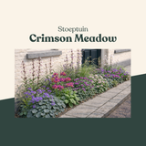 Stoeptuin: Crimson Meadow