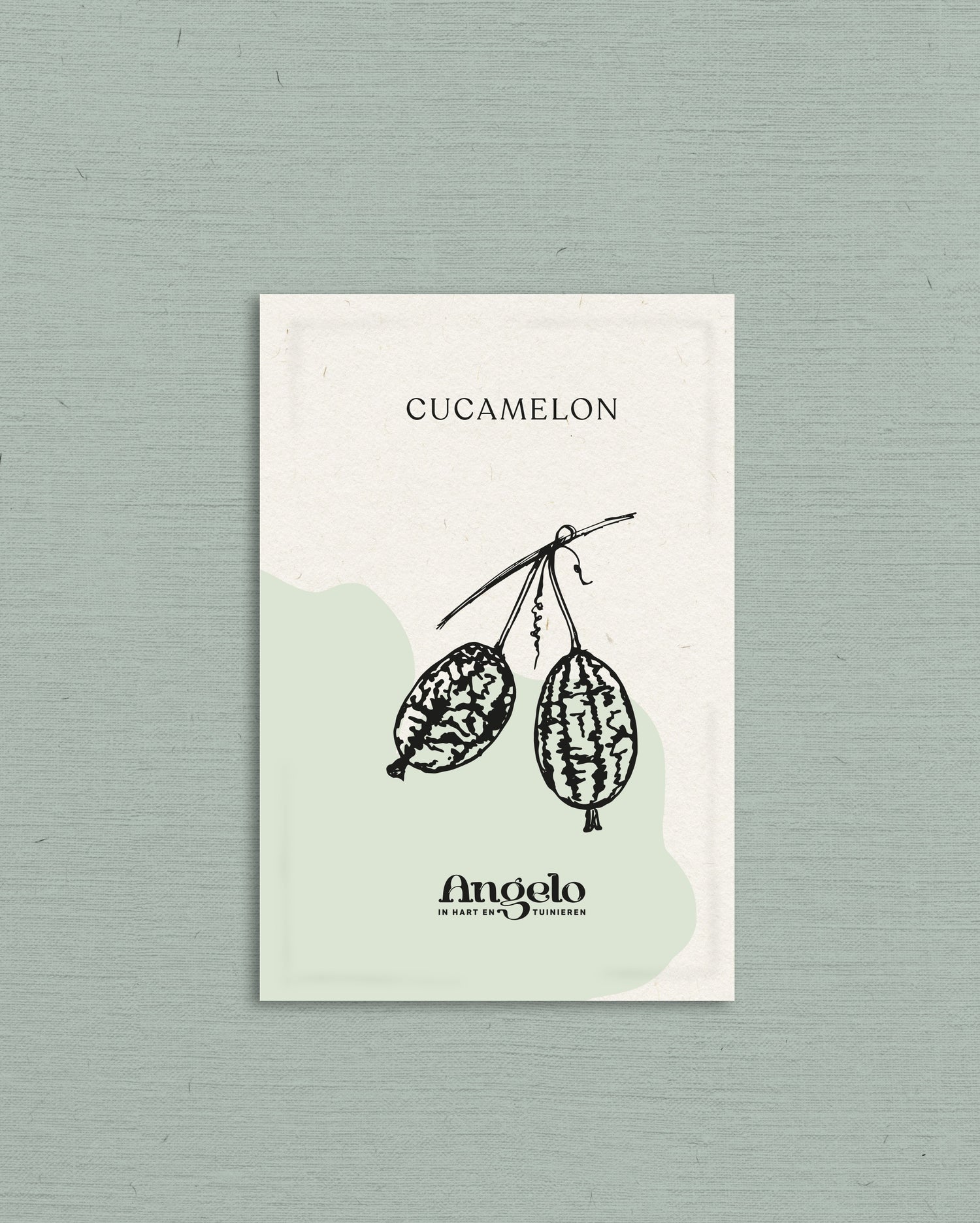 Cucamelon-Angelo