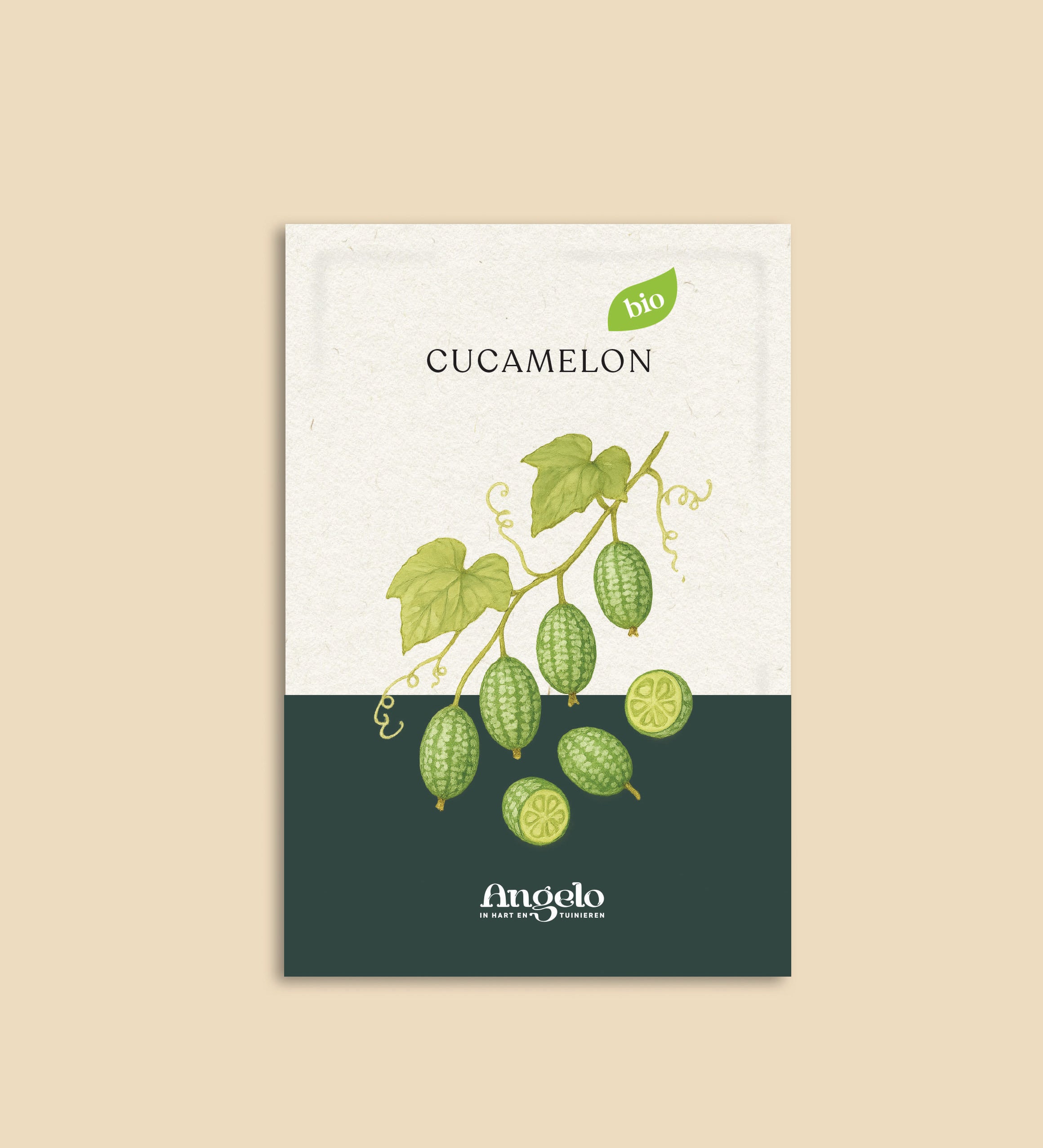 Cucamelon-Angelo