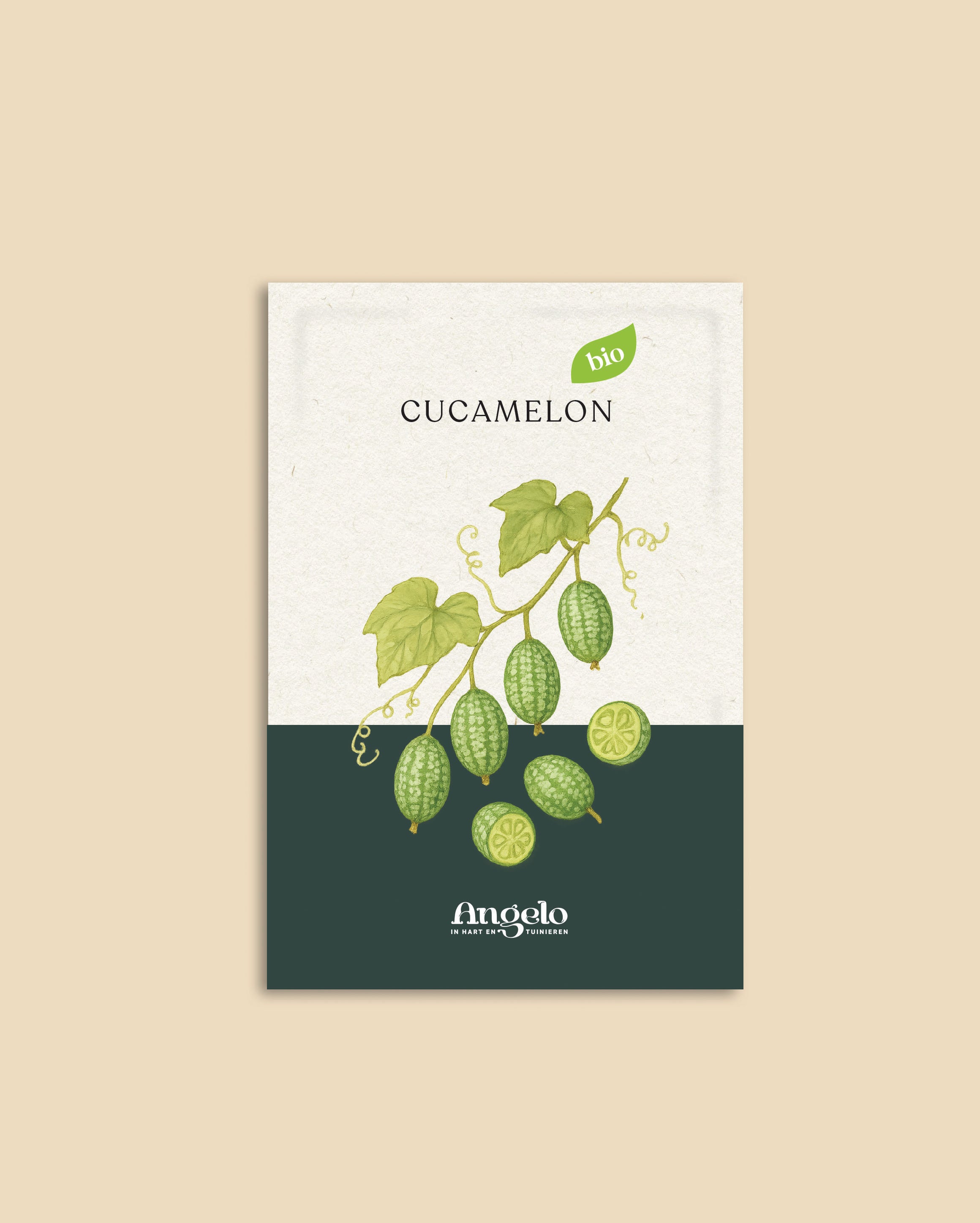 Cucamelon-Angelo