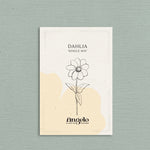 Dahlia hybrida 'Single Mix'-Angelo