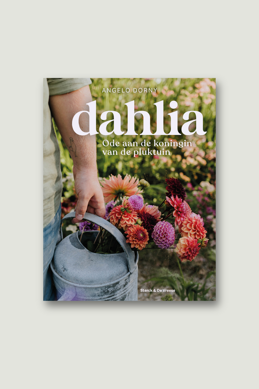 Dahlia - ode aan de koningin van de pluktuin-Angelo