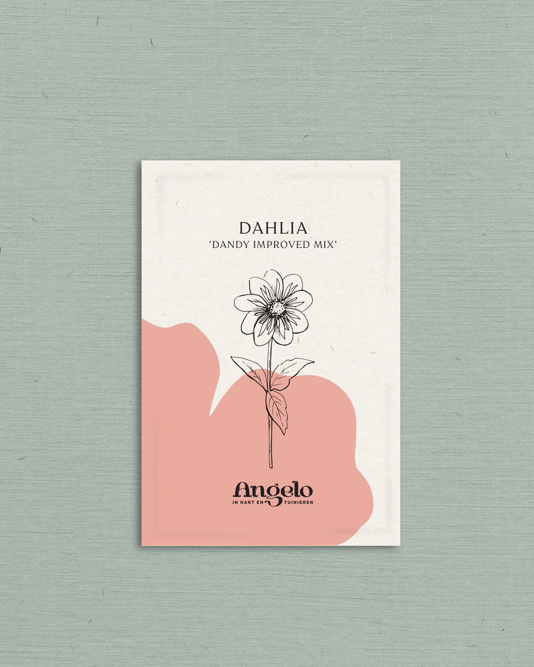 Dahlia pinnata &
