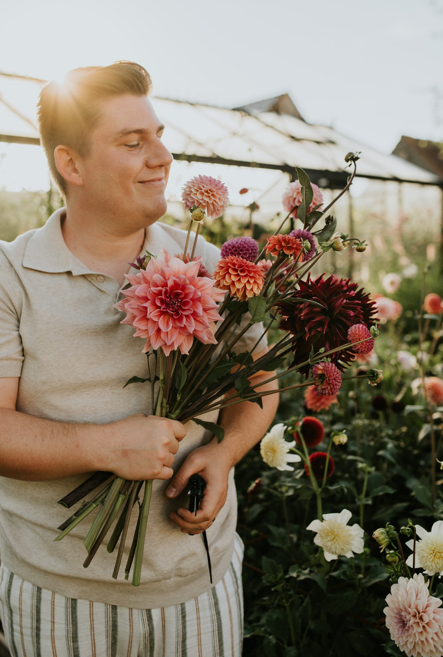 Master class growing Dahlias