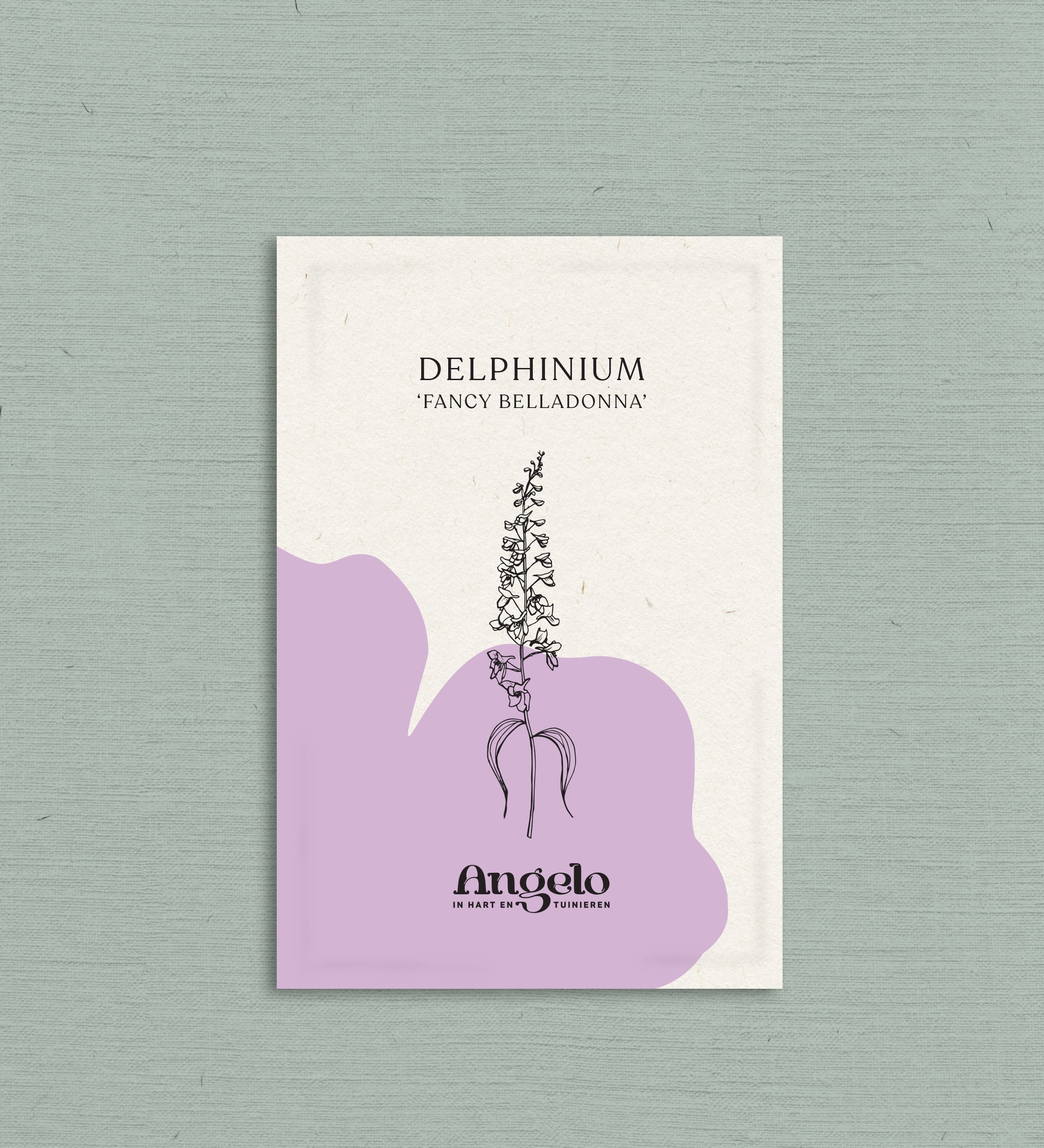Delphinium consolida 'fancy belladonna'-Angelo
