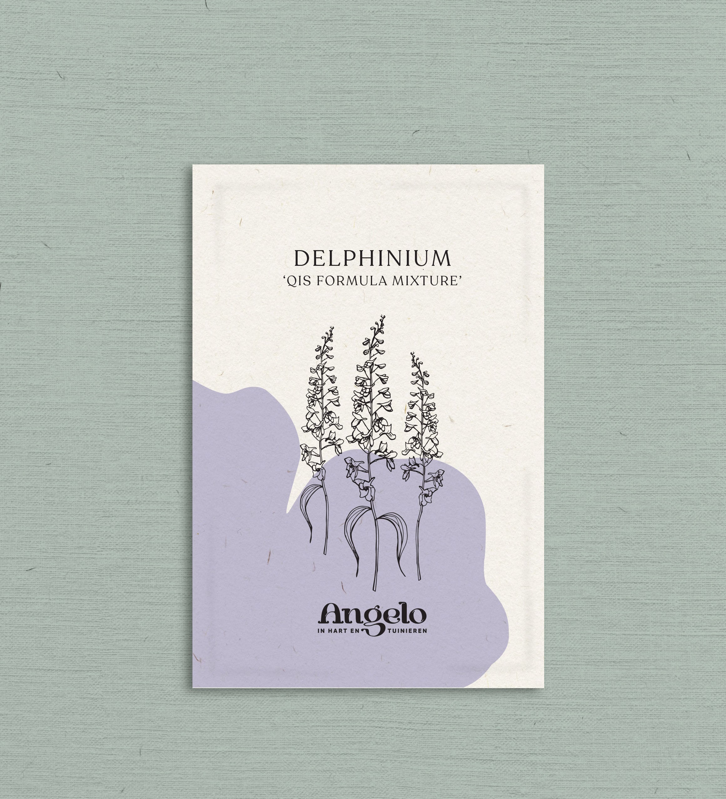 Delphinium consolida 'Qis formula mixture'-Angelo