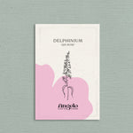 Delphinium consolida 'qis rose'-Angelo