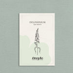 Delphinium consolida 'qis white'-Angelo