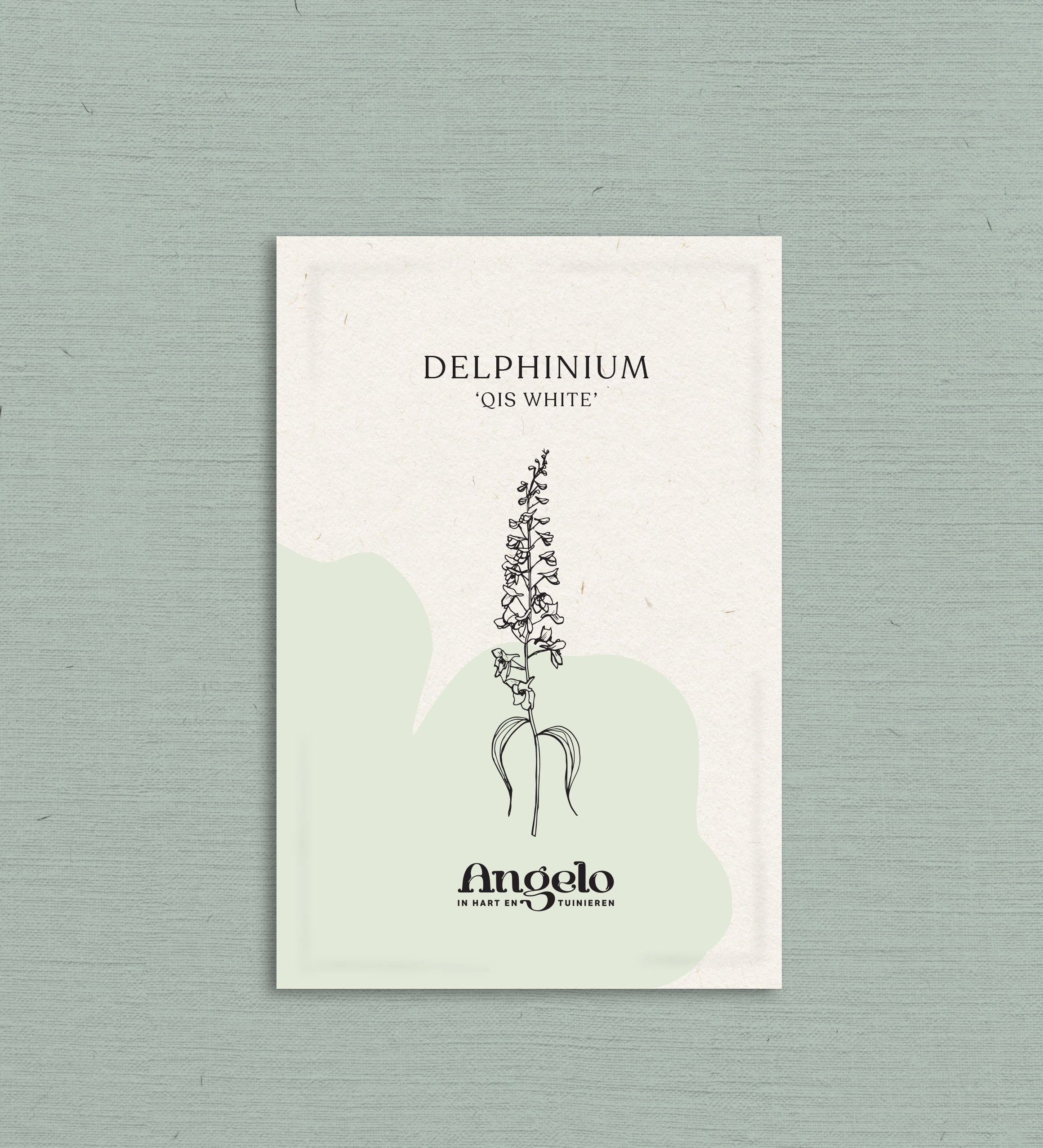 Delphinium consolida 'qis white'-Angelo