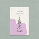 Digitalis 'dalmatian rose'-Angelo
