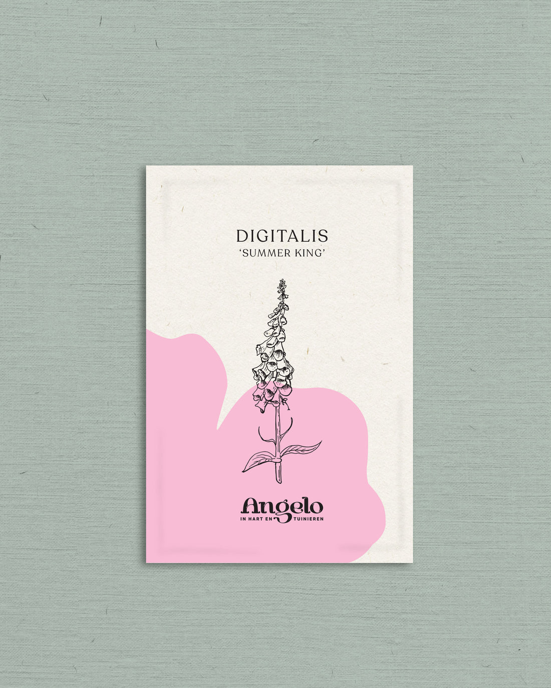 Digitalis mertonensis &