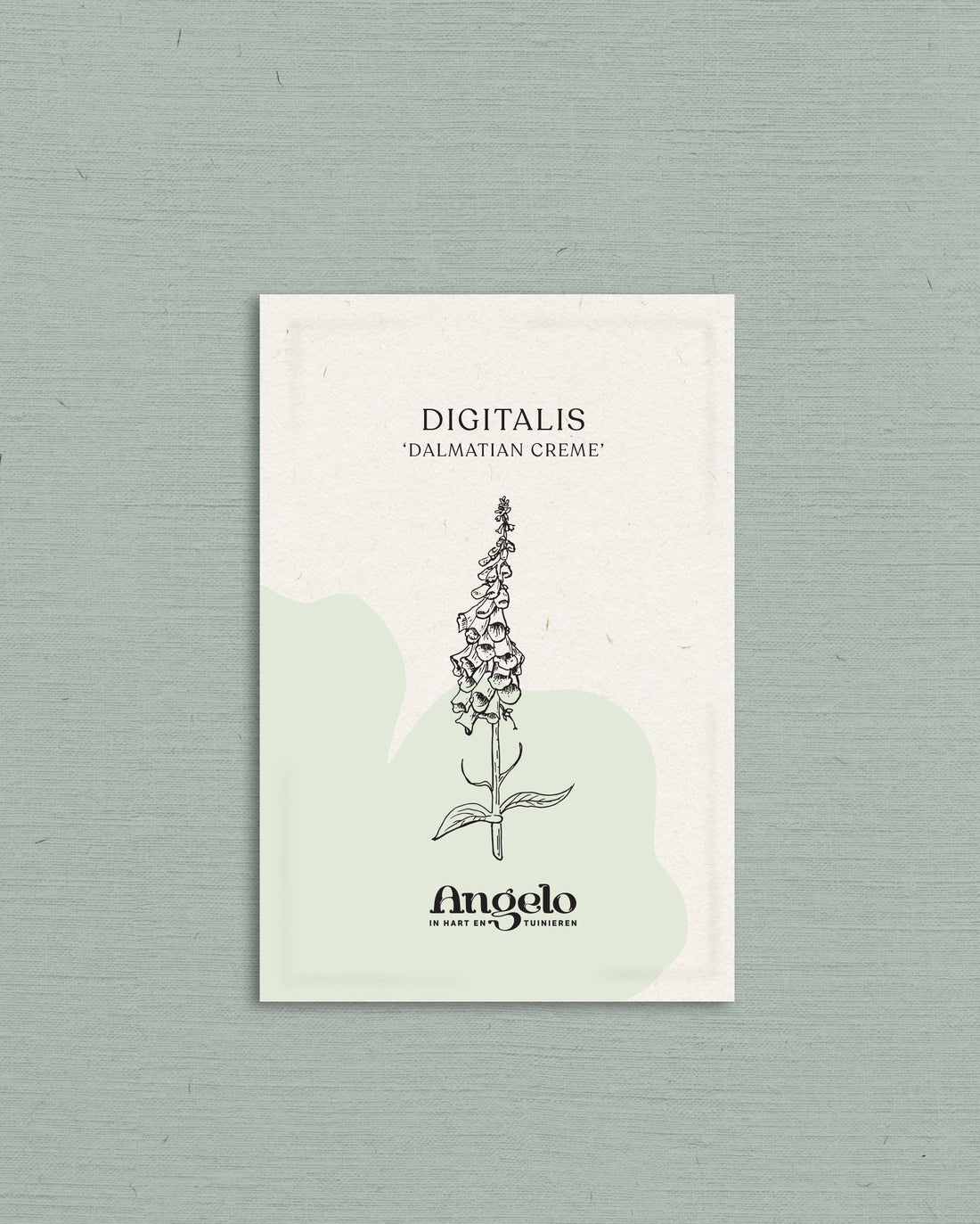Digitalis purpurea &