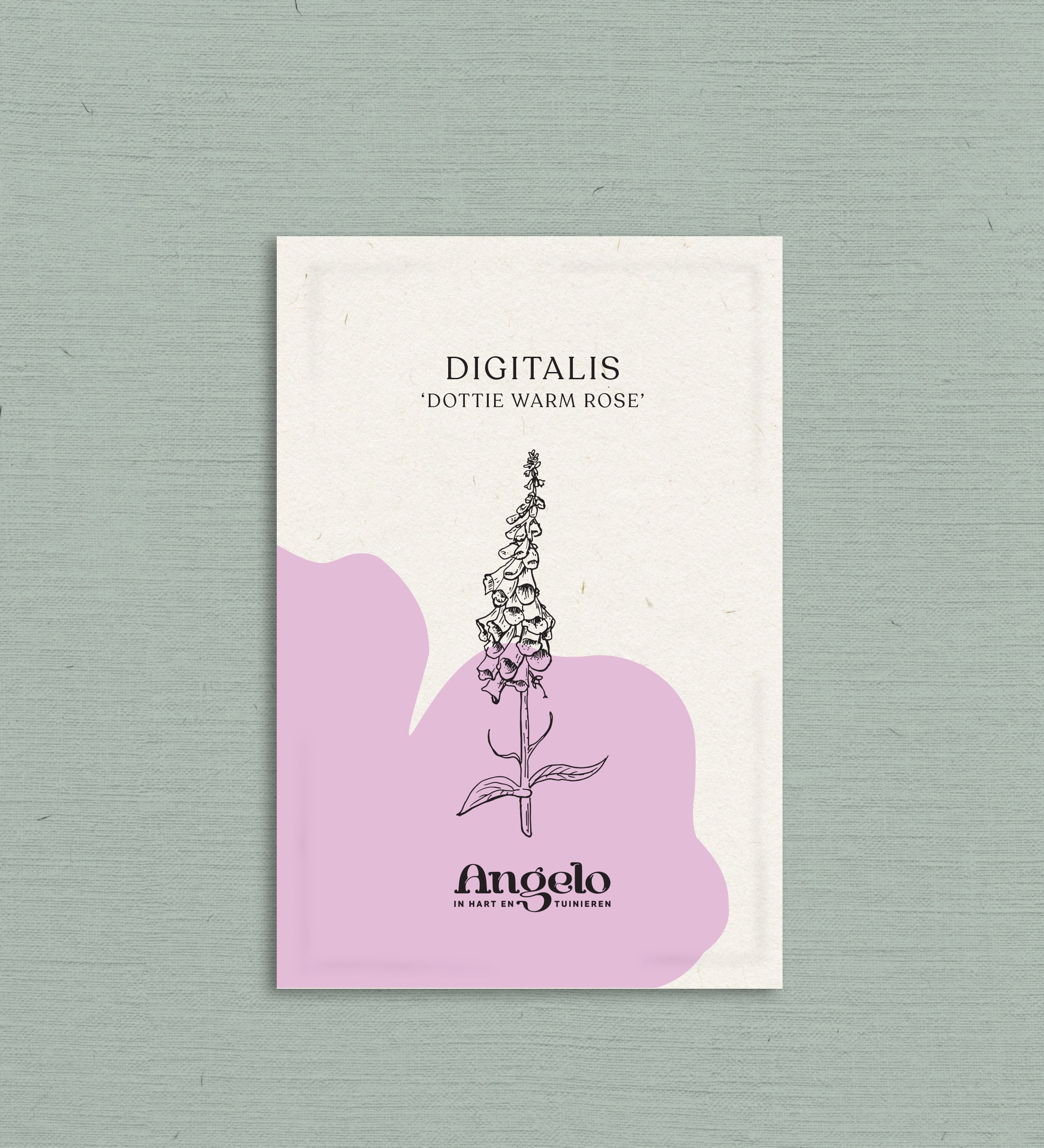 Digitalis purpurea 'dottie warm rose'-Angelo