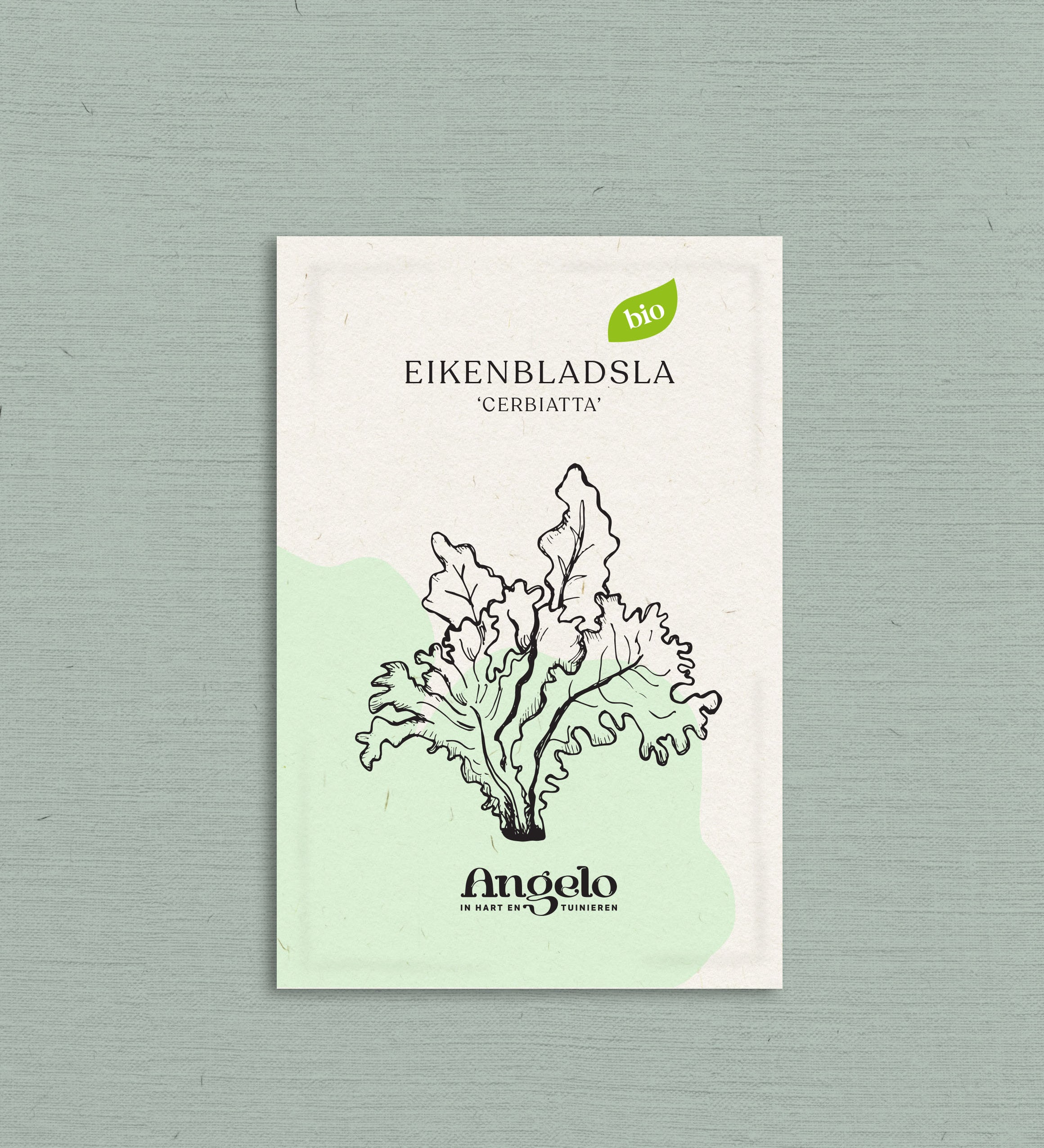 Eikenbladsla 'Cerbiatta'-Angelo