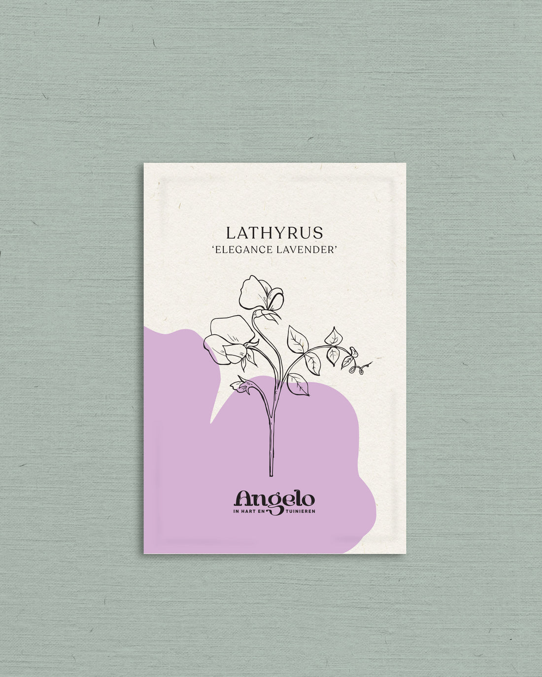 Lathyrus odoratus elegance &