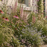Stoeptuin: English Cottage