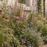 Stoeptuin: English Cottage
