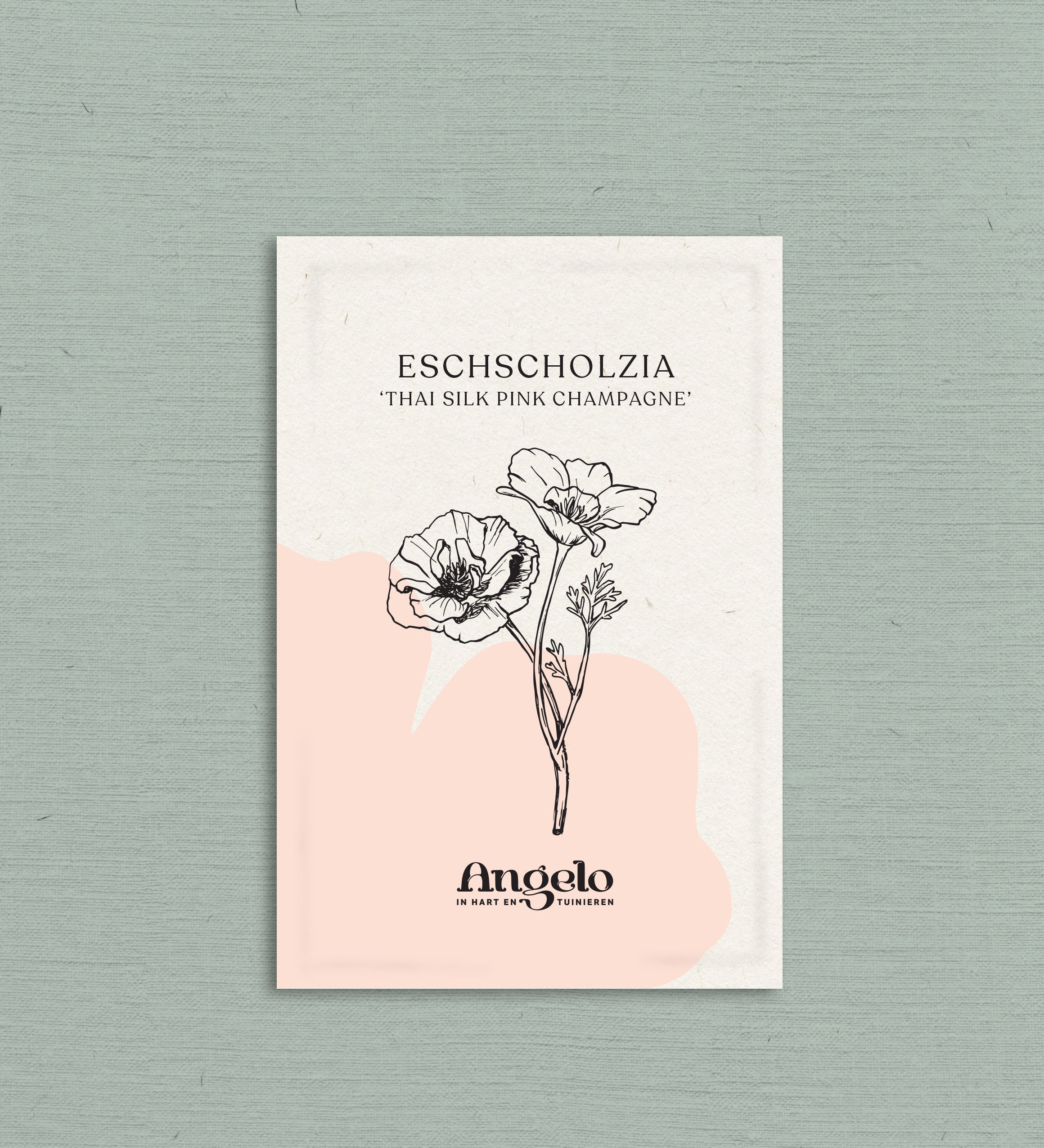 Eschscholzia californica 'thai silk pink champagne'-Angelo