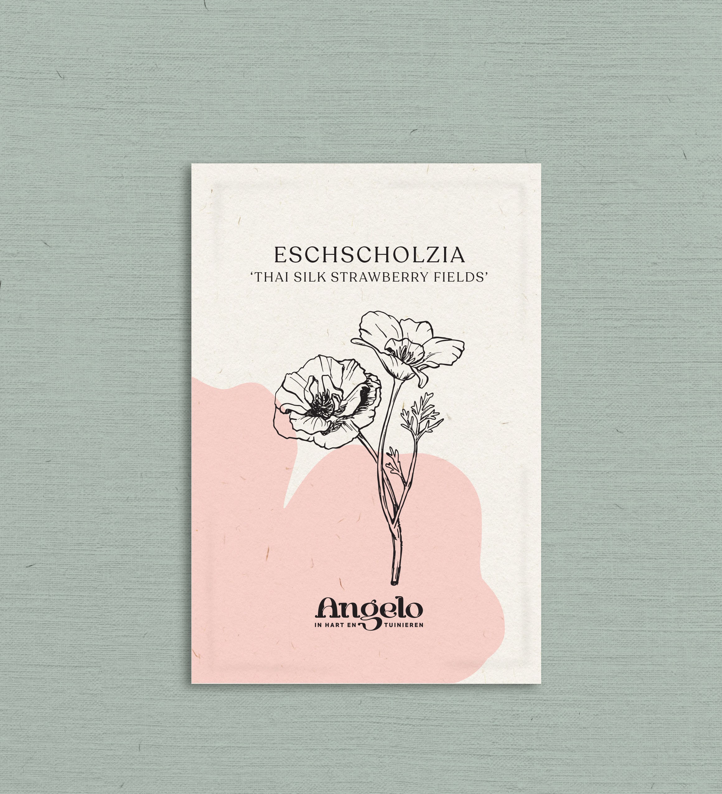 Eschscholzia californica 'Thai Silk Strawberry Fields'-Angelo
