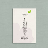 Gaura lindheimeri 'White'-Angelo