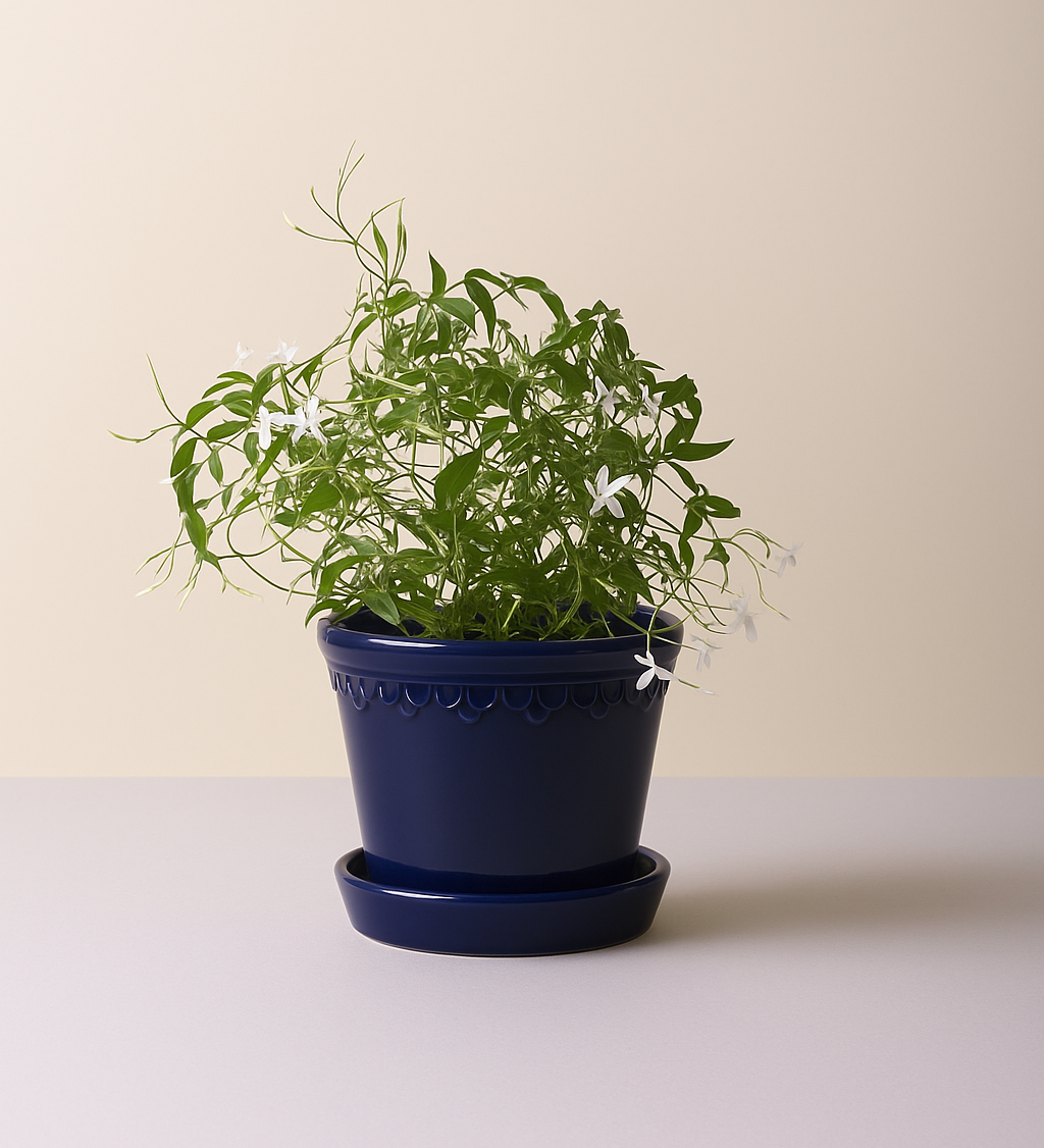 Pot Københavner - glazed