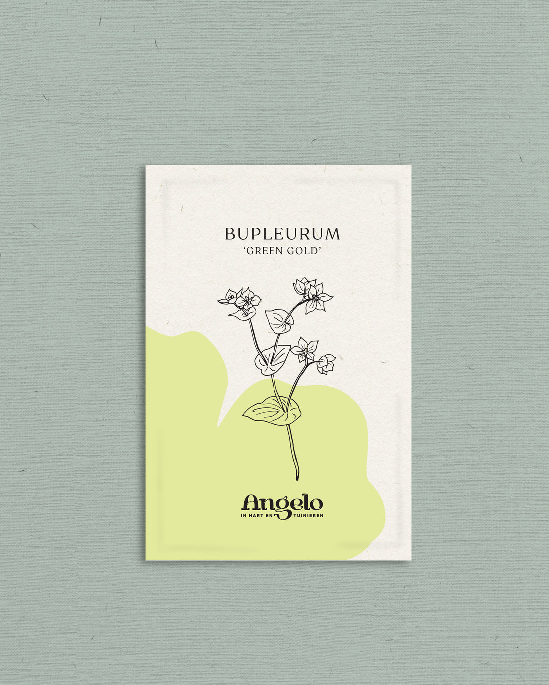 Bupleurum rotundifolium &