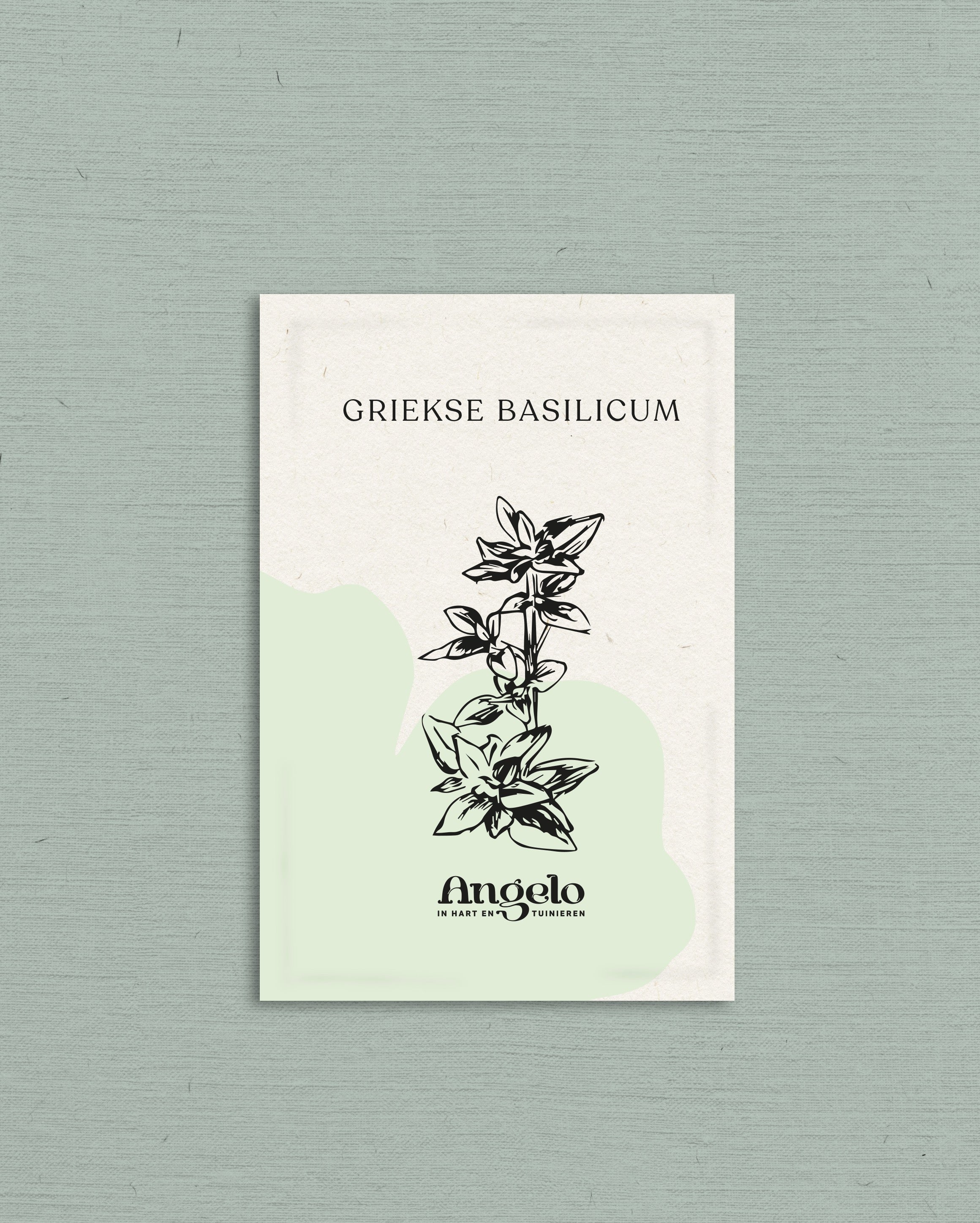 Griekse basilicum-Angelo