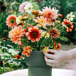 Hanataba - bloemenprikker-Angelo