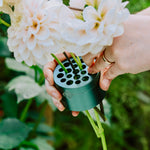 Hanataba - Green Ivy-Angelo