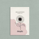 Helianthus annuus 'Desert Sun'-Angelo