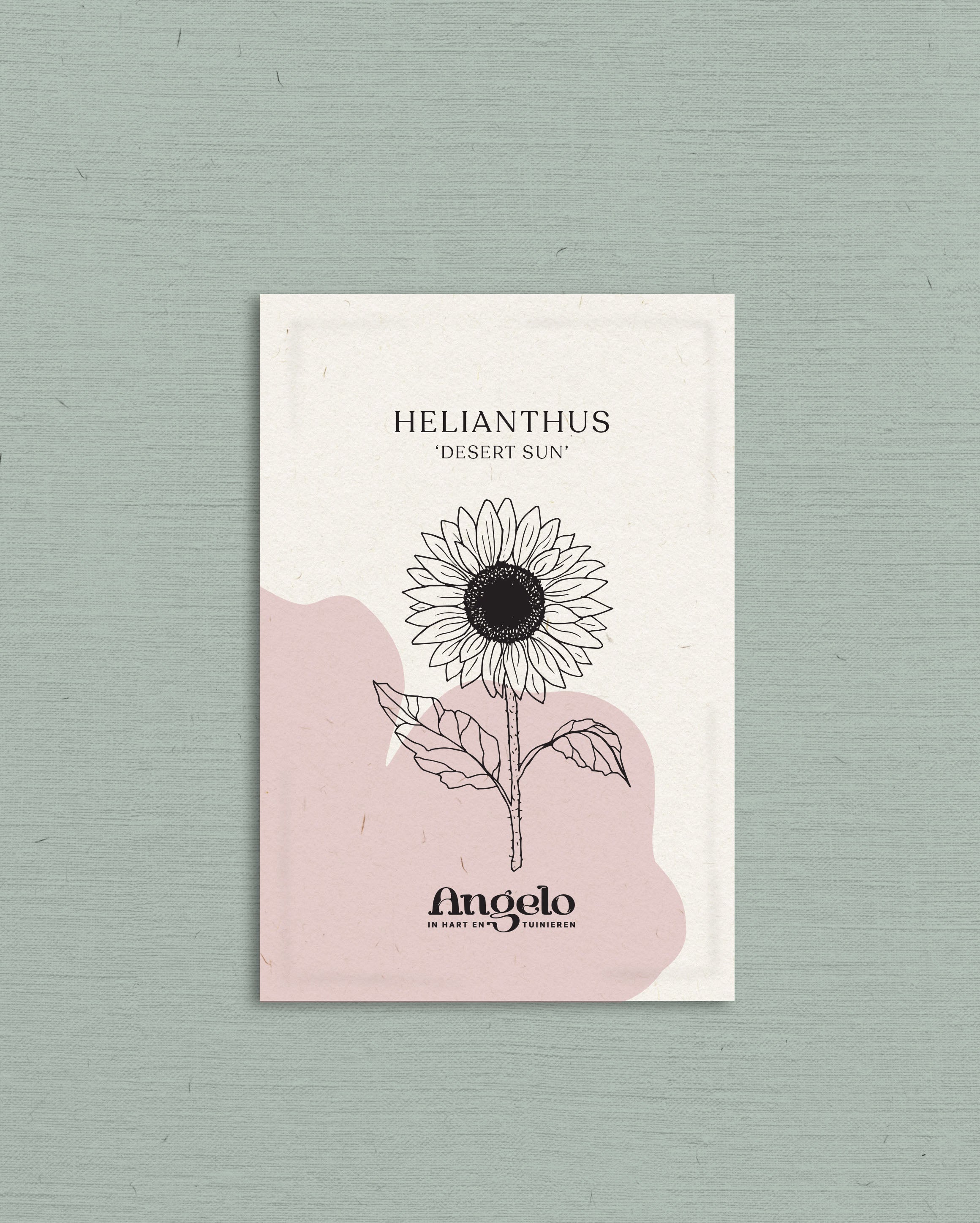 Helianthus annuus 'Desert Sun'-Angelo