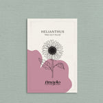 Helianthus annuus 'pro cut plum'-Angelo