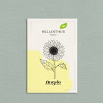 Helianthus annuus 'Taiyo'-Angelo