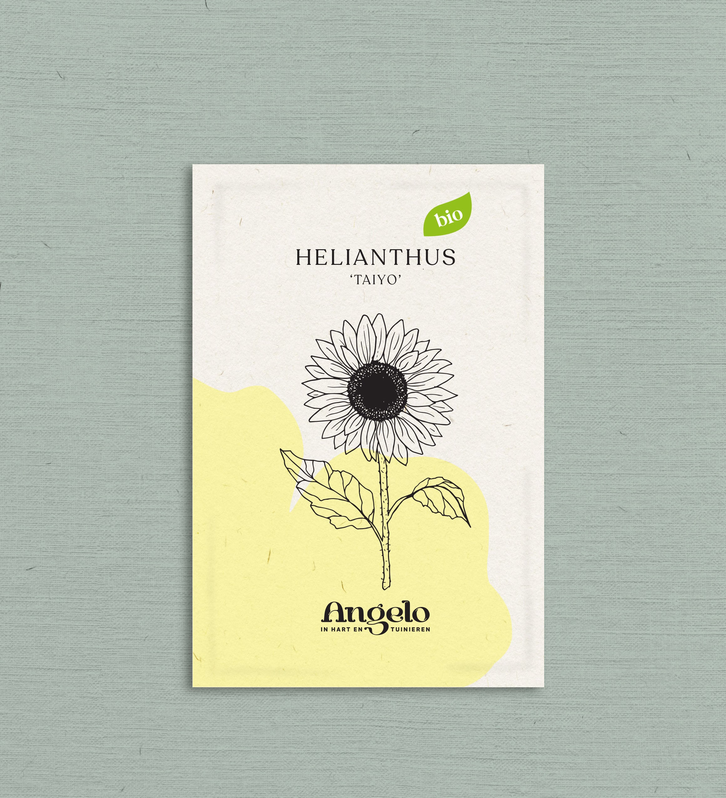 Helianthus annuus 'Taiyo'-Angelo