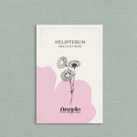 Helipterum roseum 'Brilliant Rose'-Angelo