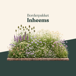 Borderpakket: inheems-Angelo