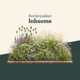 Borderpakket: inheems-Angelo