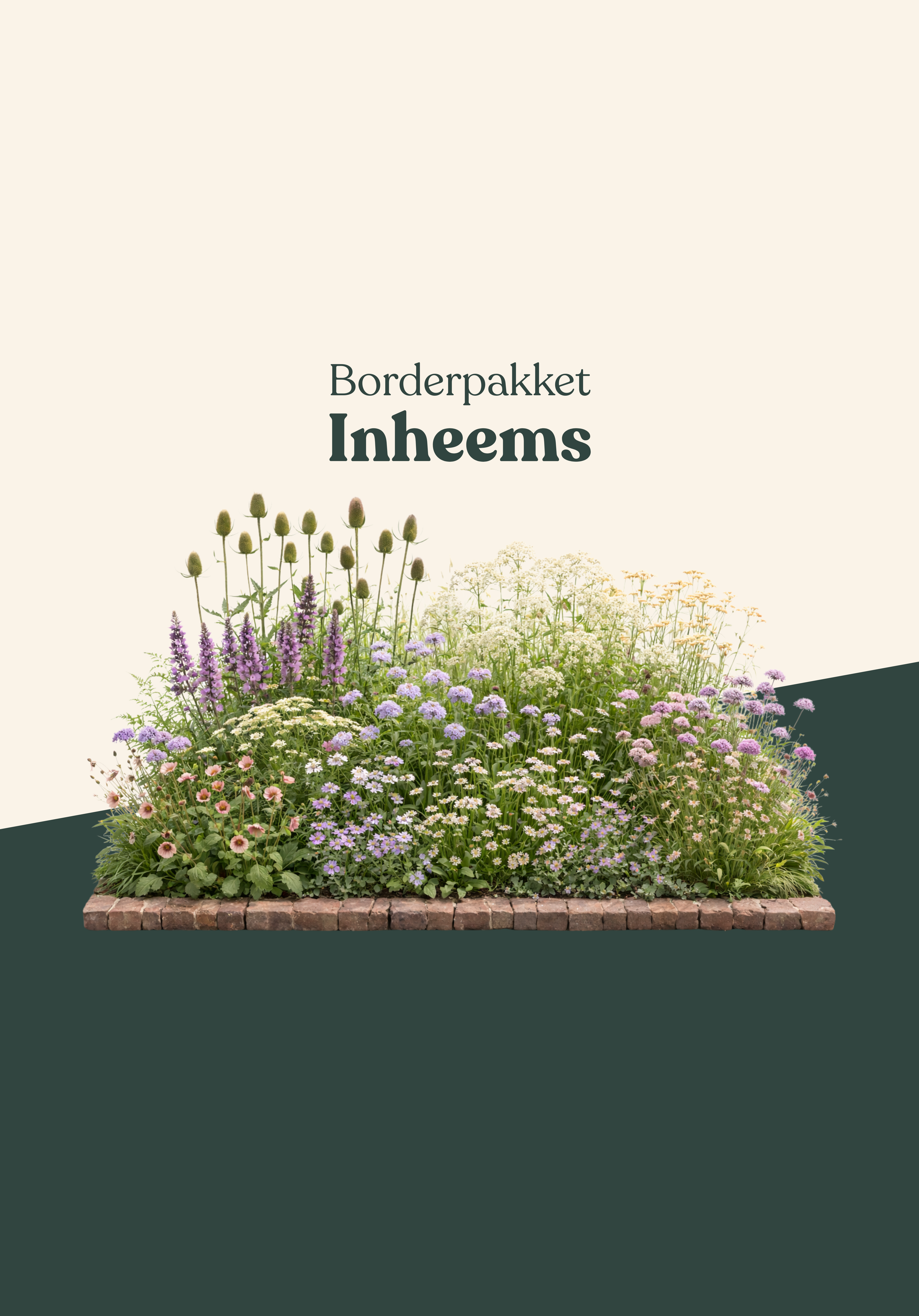 Borderpakket: inheems-Angelo