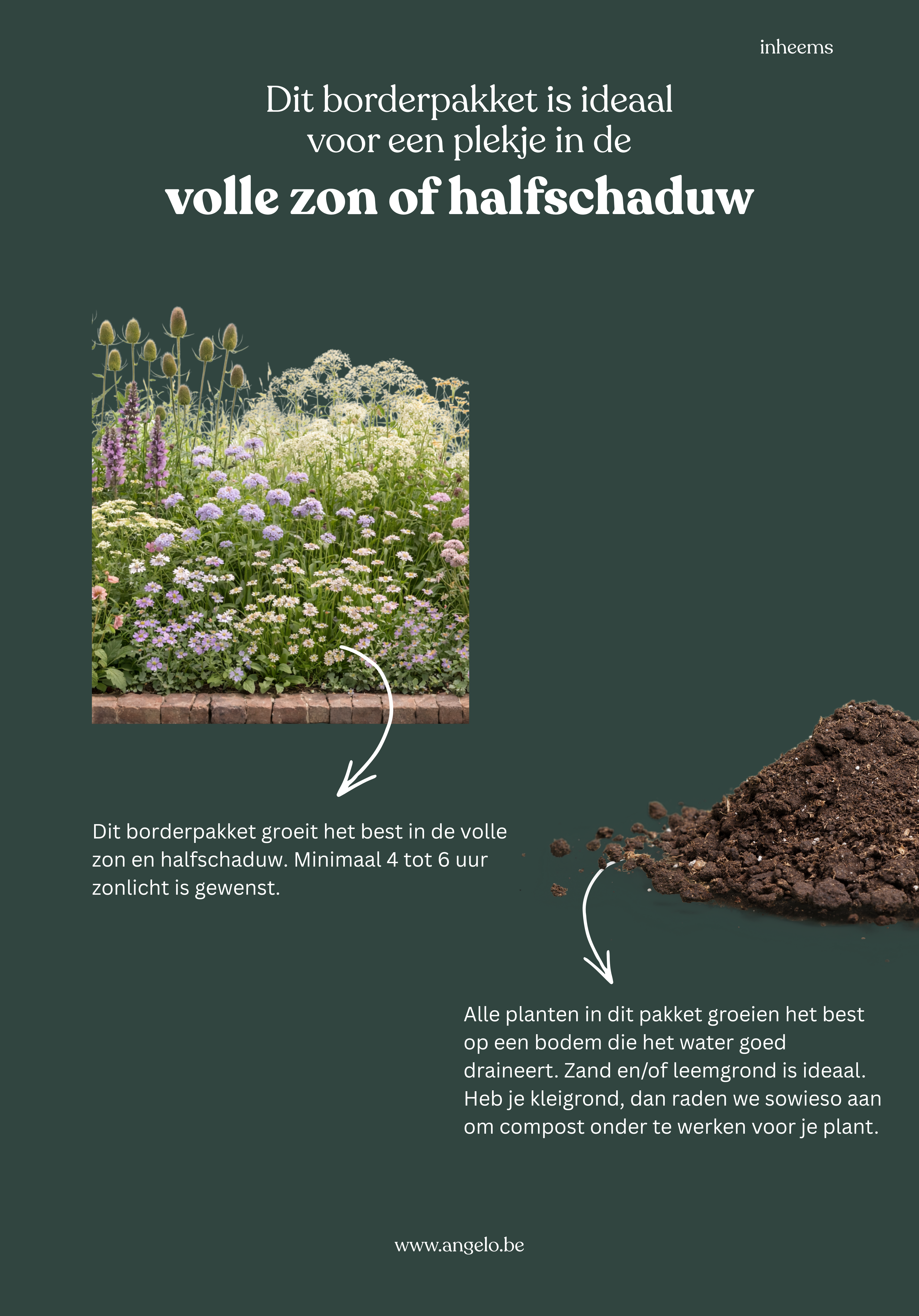 Borderpakket: inheems-Angelo