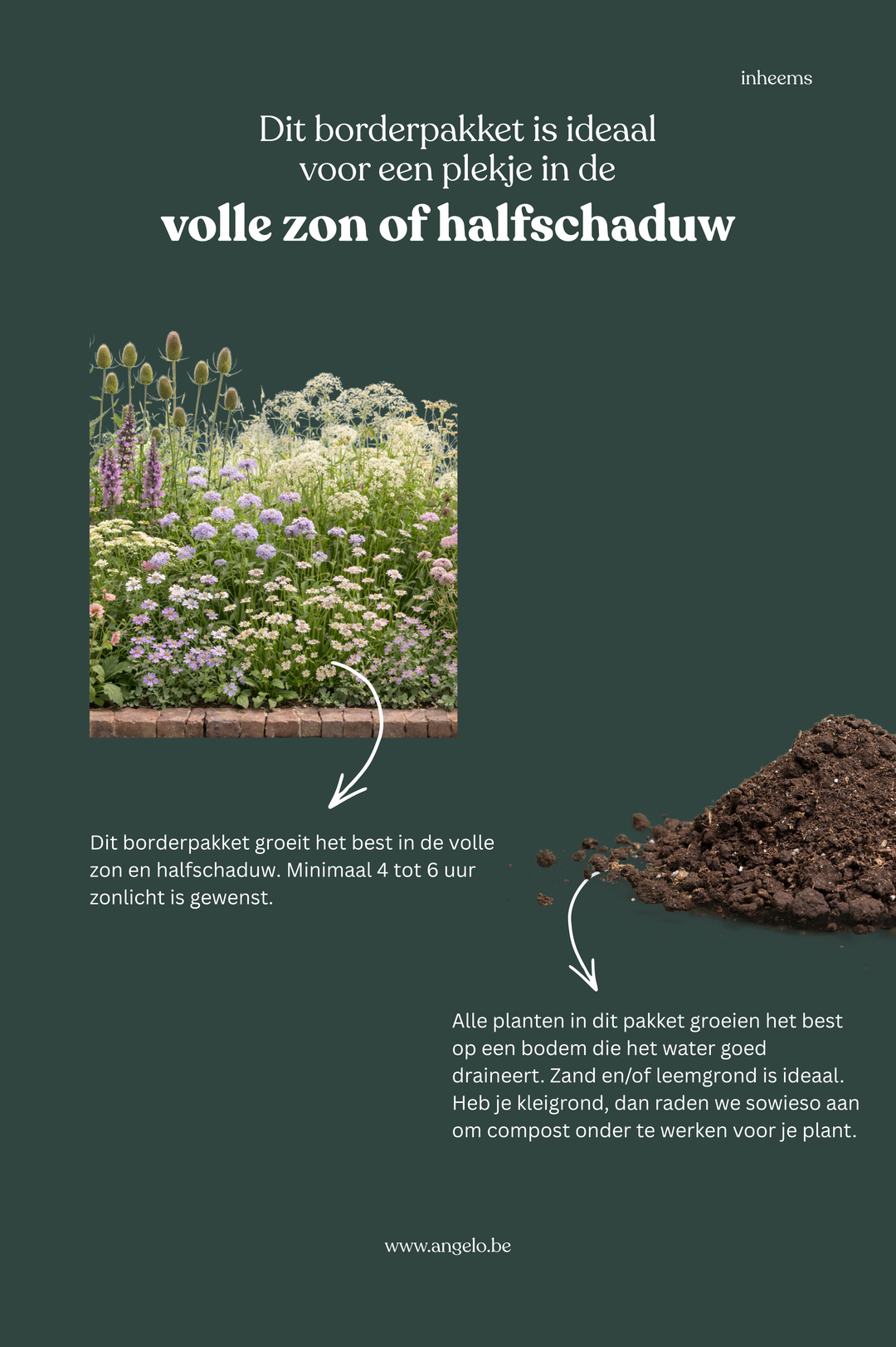 Borderpakket: inheems – Angelo