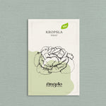 Kropsla 'Pirat'-Angelo
