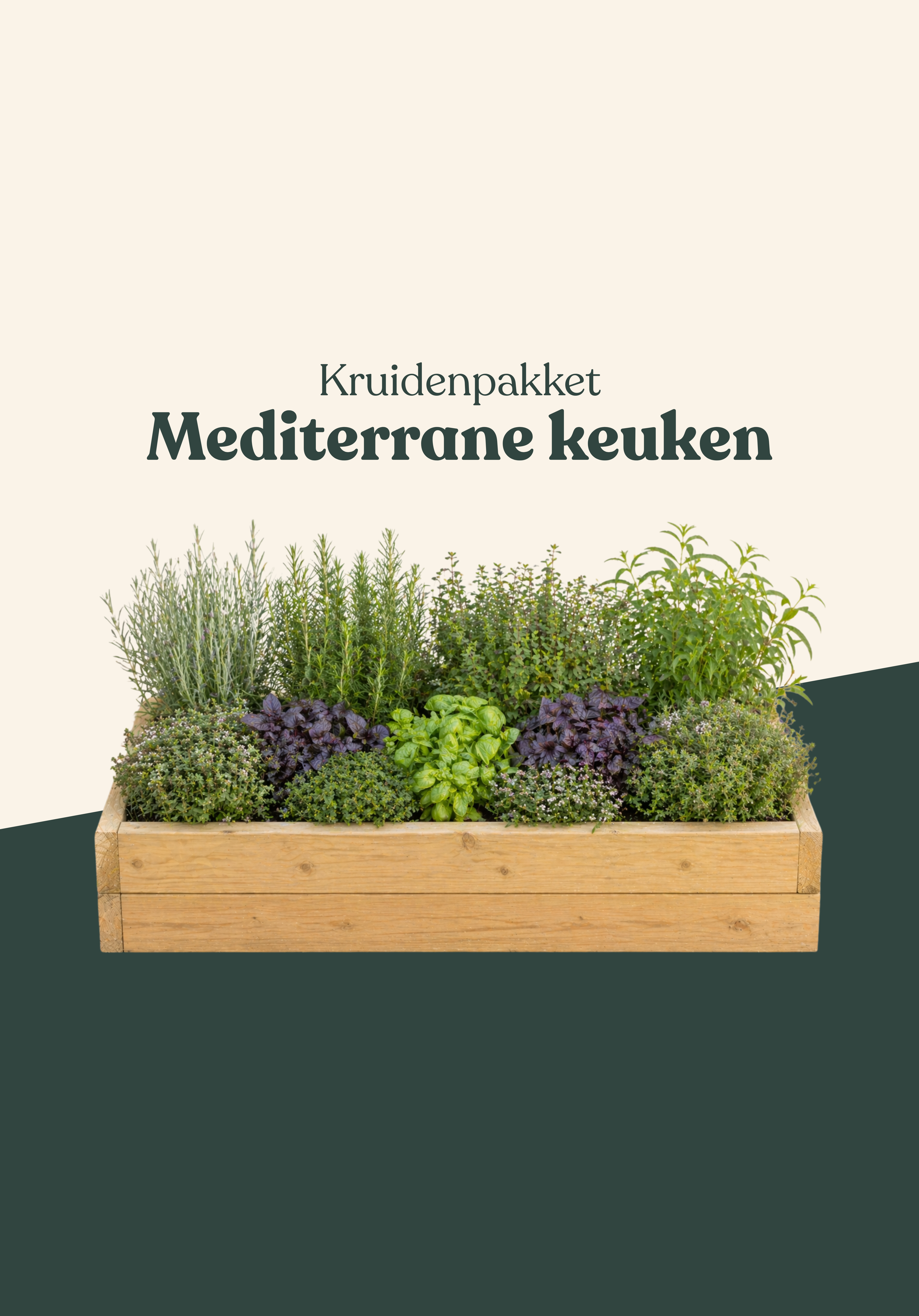 Kruidenpakket: Mediterrane keuken-Angelo