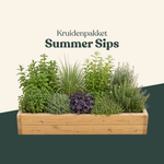 Kruidenpakket: Summer Sips-Angelo