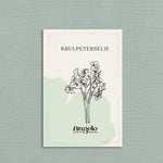 Krulpeterselie-Angelo