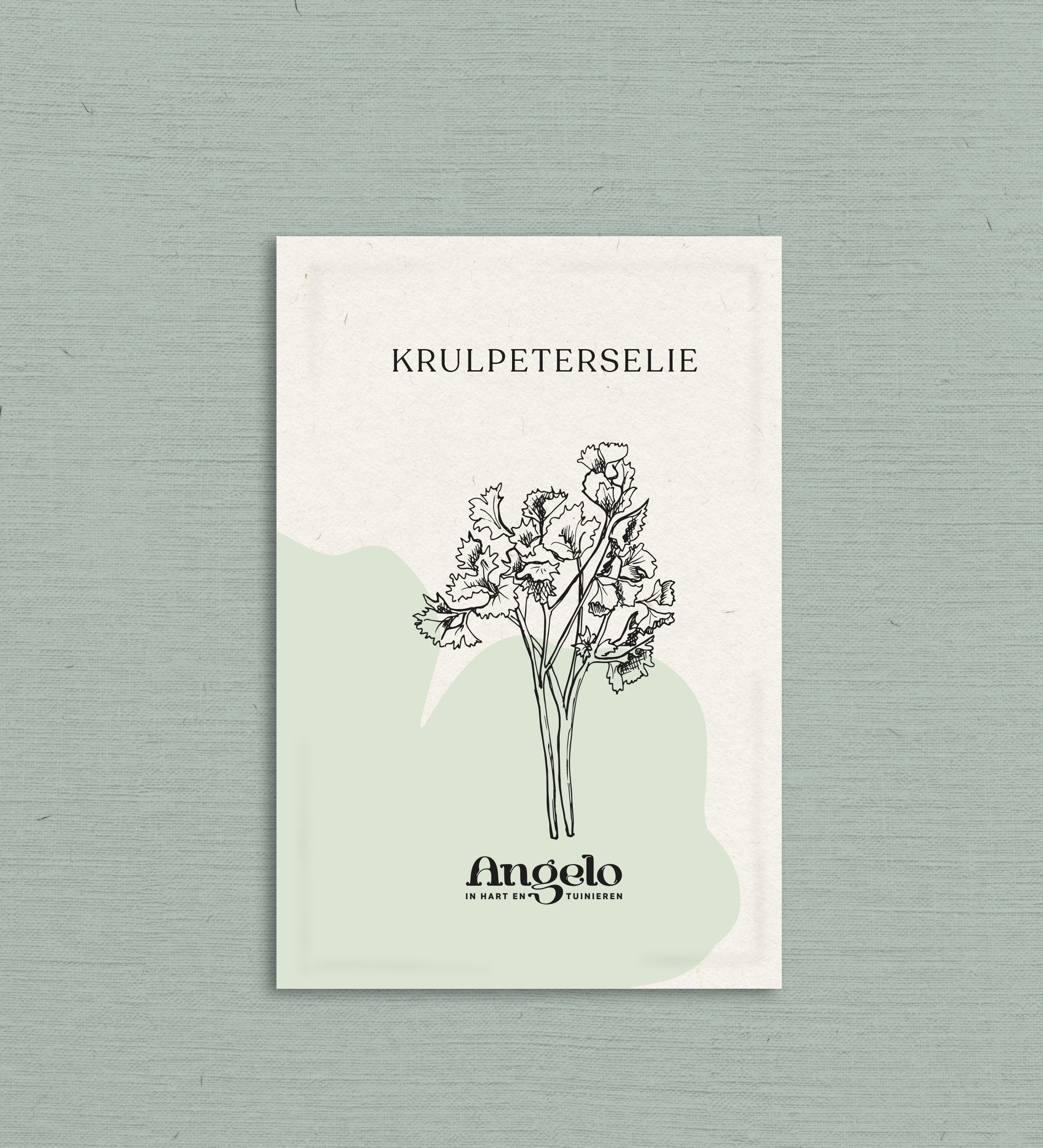 Krulpeterselie-Angelo