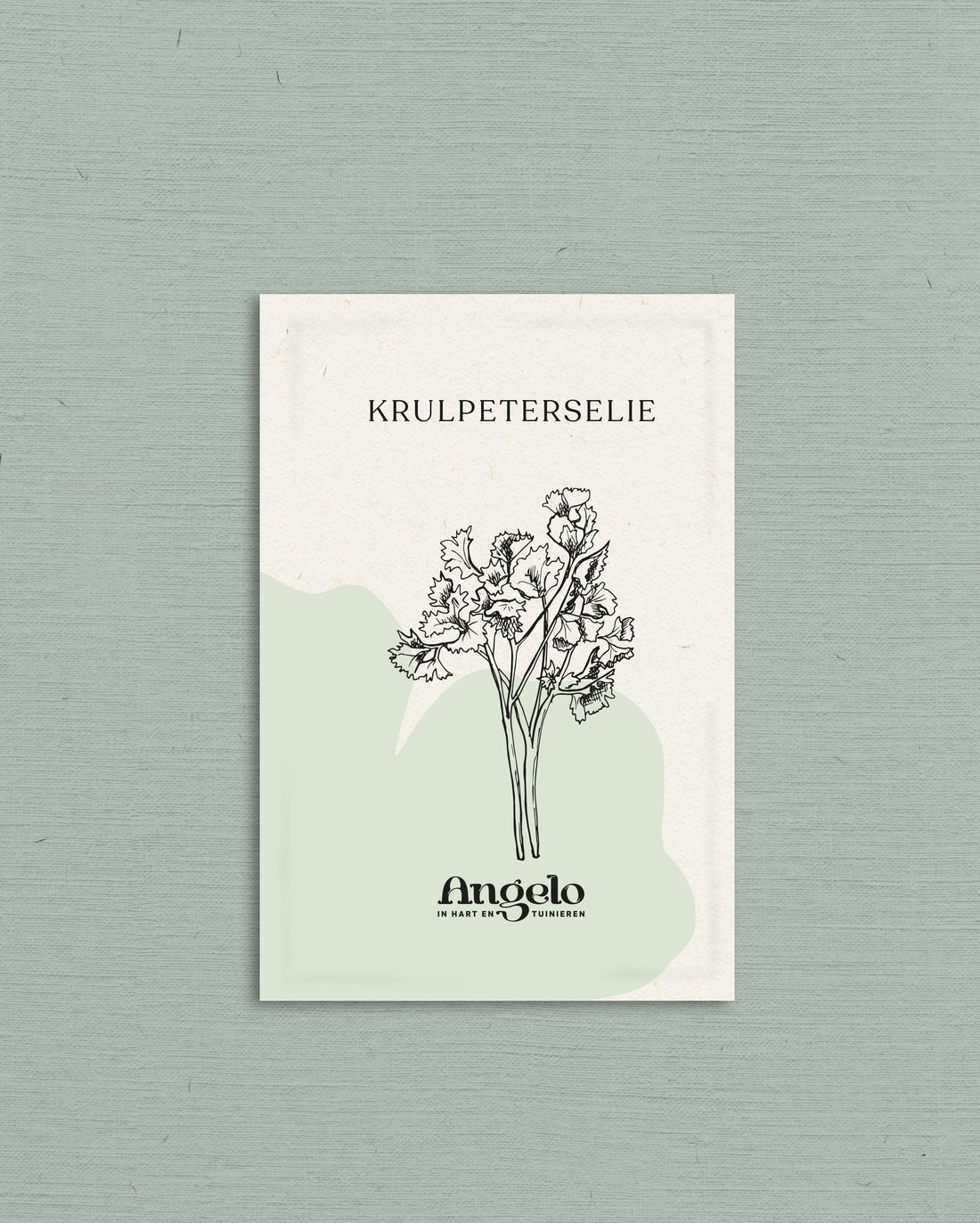 Krulpeterselie-Angelo