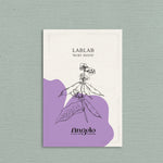 Lablab purpureus 'ruby moon'-Angelo