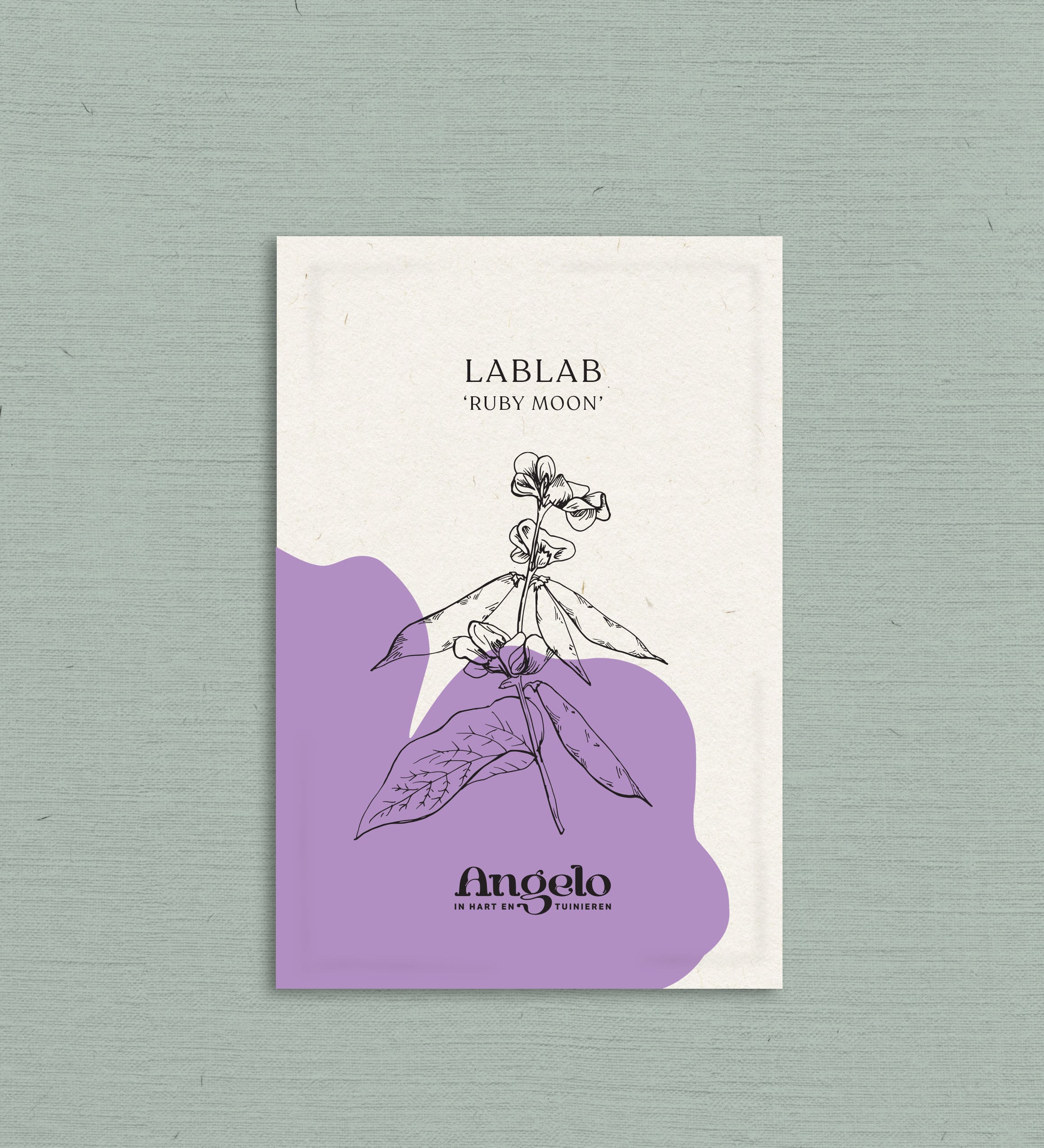 Lablab purpureus 'ruby moon'-Angelo