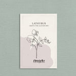 Lathyrus odoratus 'Above the clouds mix'-Angelo